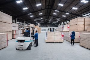 Distributor Triplek Lampung